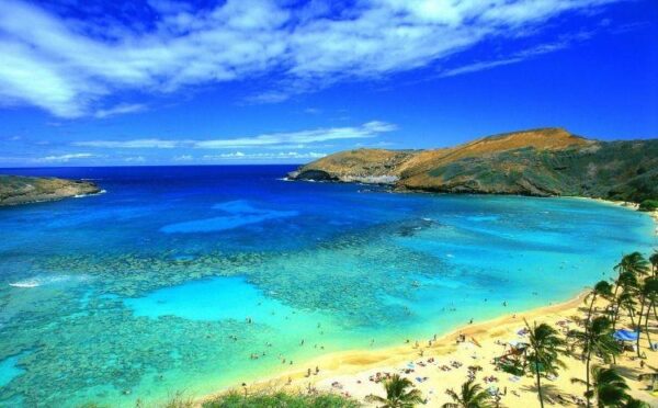 Hawaii-masquerade-8215293-1600-1200-Product-Image